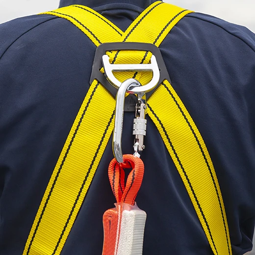 Harness